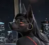 HeavyFalcon's Avatar